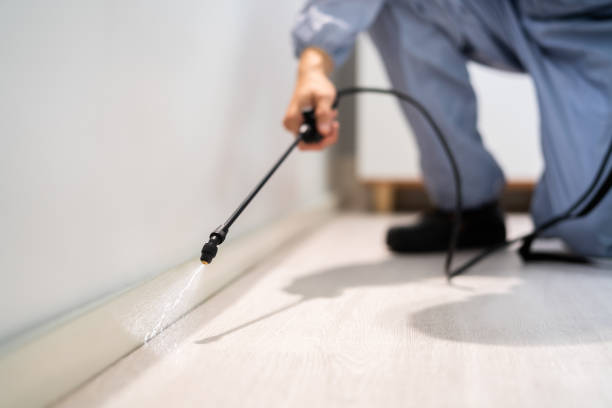 Licensed Mosquito Control service in Wurtland, KY - Show Me Pest Control