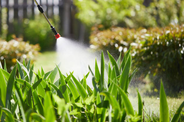 24/7 Emergency Mosquito Control experts in Wurtland, KY