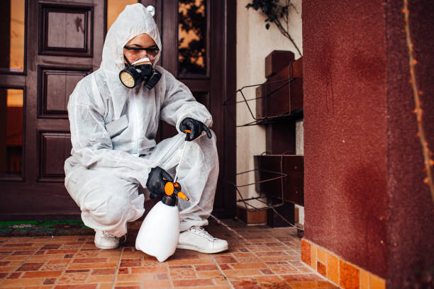 Reliable Mosquito Control contractor in Wurtland, KY by Show Me Pest Control